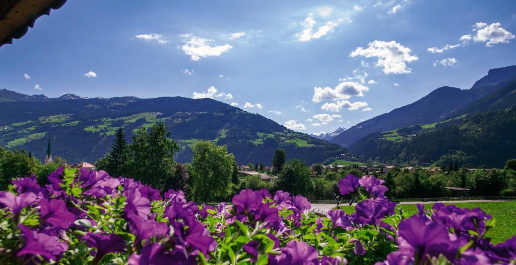 Villa Haidacher Relax & Lifestyle Apartments Zell am Ziller Rum bild